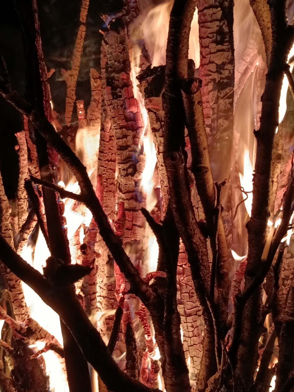 vivoS10Pro智能手机样张图集「23P」「SOOMAL」