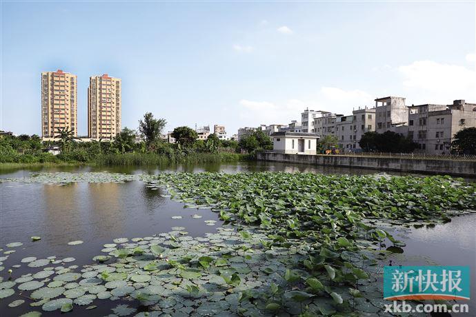 文化旅游圈活力凸显,全力打造文化旅游新高地