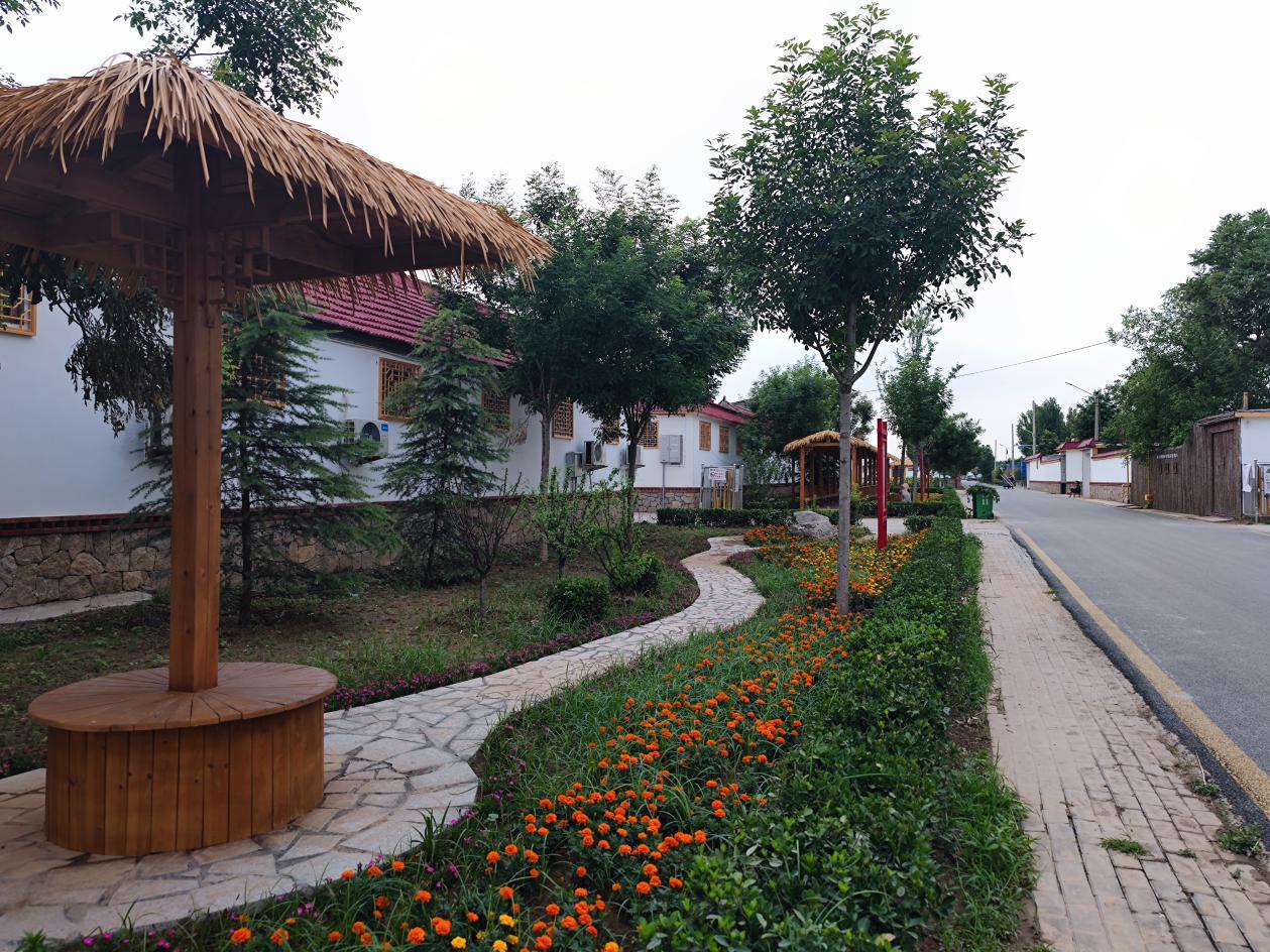 品美食、享农趣、逛集市……秋分，来八里桥过丰收节