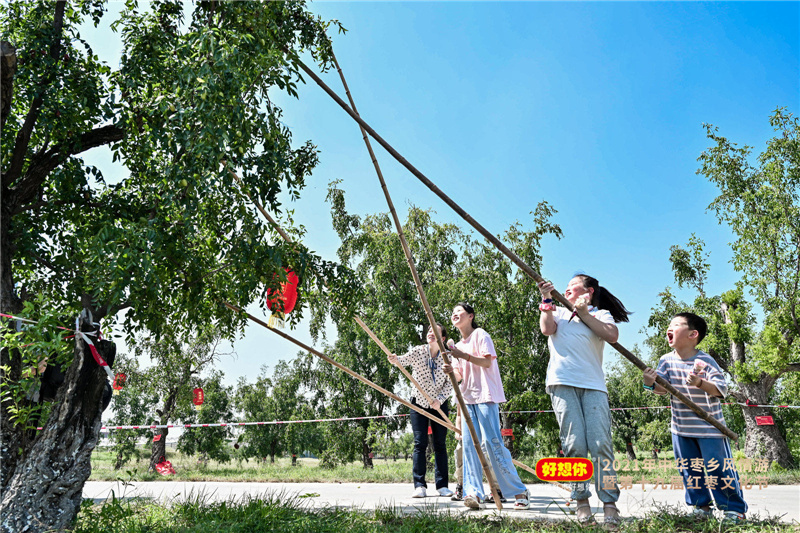 红枣的未来发展趋势,红枣产业的数字化升级