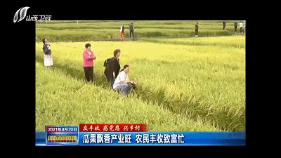 农民田间辛勤劳作喜迎首个丰收节,庆丰收让乡亲们的日子越过越红火