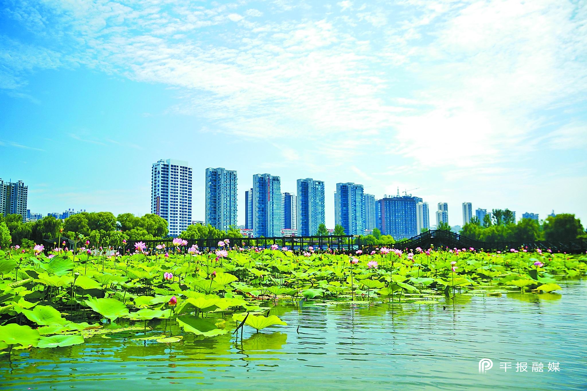 跨越——回望五年路喜迎*党**代会｜美丽示范区魅力幸福城