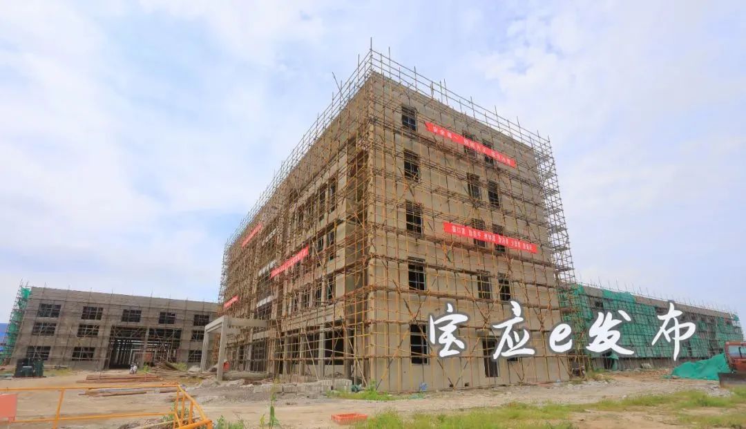 宝应工业项目2022,宝应重点产业项目