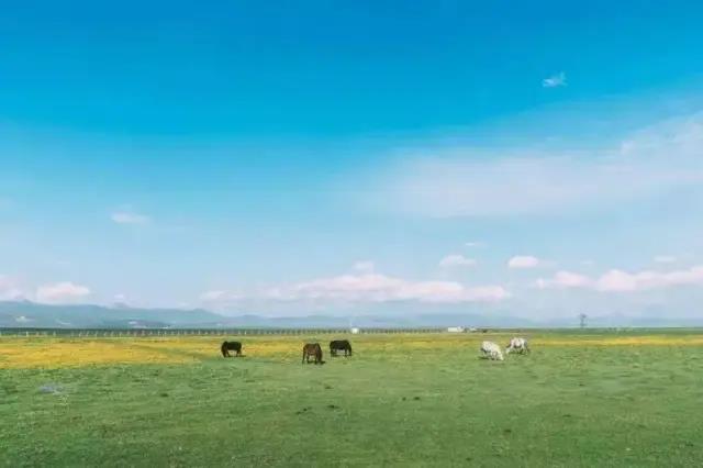 10月17日雅康高速路况实时查询,10月4日雅康高速实时路况