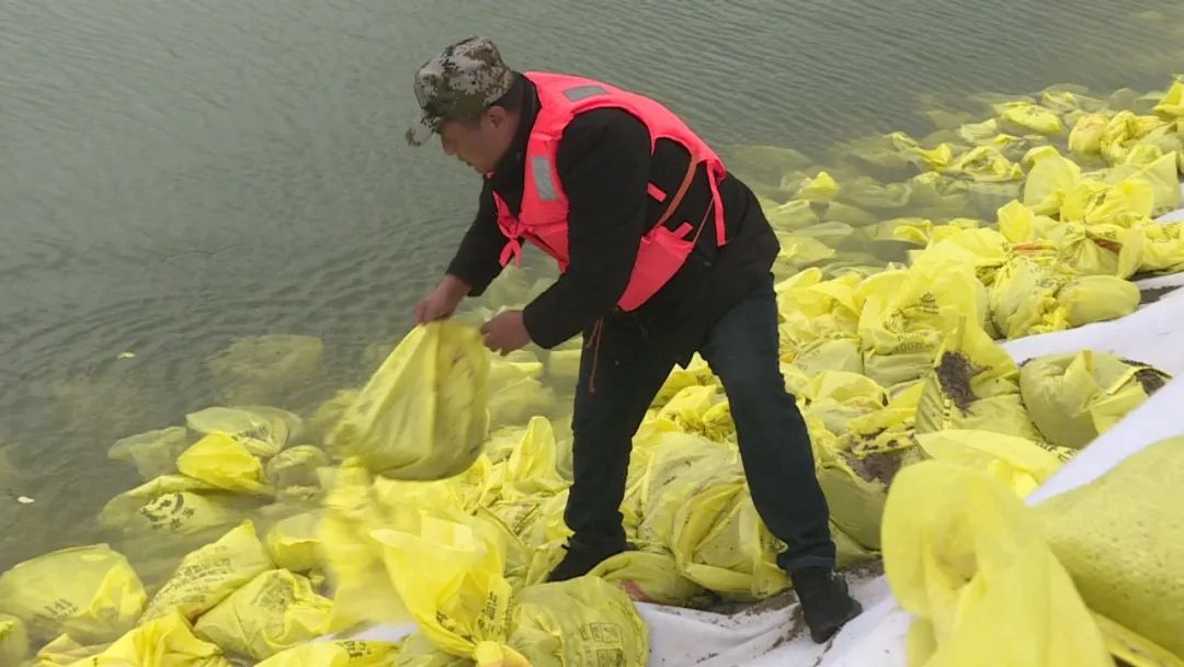 党员干部担当作为,党员干部身先士卒