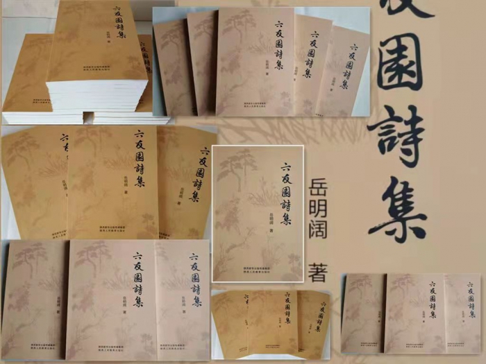 岳明阔简介,岳明阔讲诗词创作