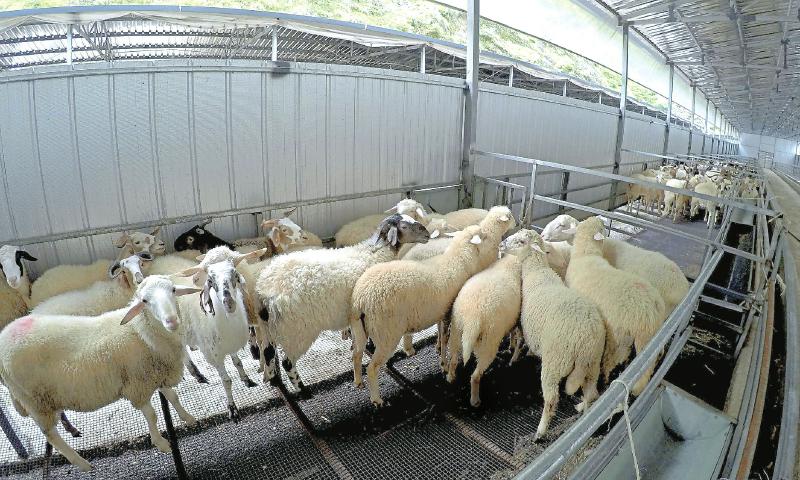 九龙县对口帮扶工作,青白江市扶贫