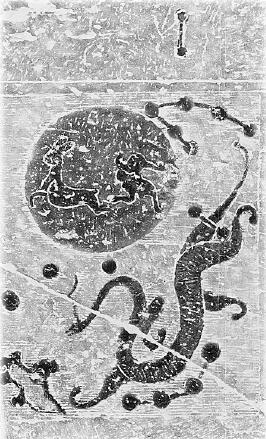 鲁迅先生的画像和介绍,鲁迅先生的素描画像