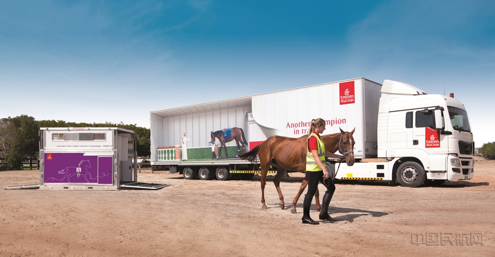 从赛马到疫苗阿联酋航空货运业务如何逆势突围？