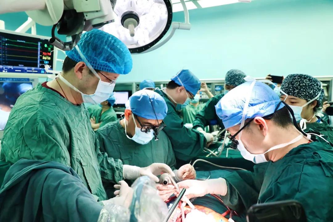 自主研发人工心脏植入成功,植入式人工心脏