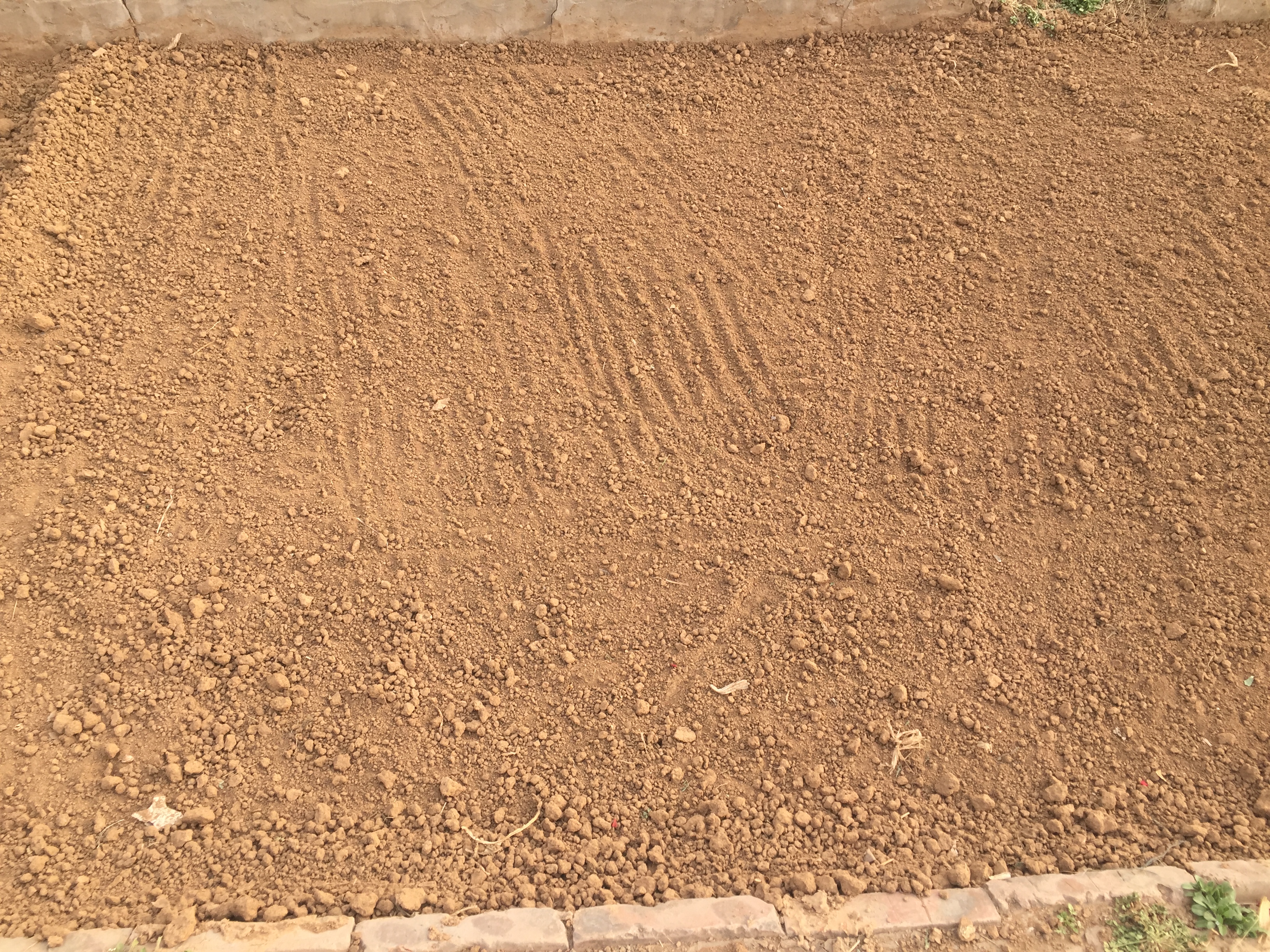 种子播种怎么才能整齐,如何播种才能出苗