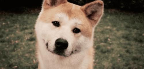 一定要陪孩子看这10部动画电影,假期带孩子看的10部动画电影