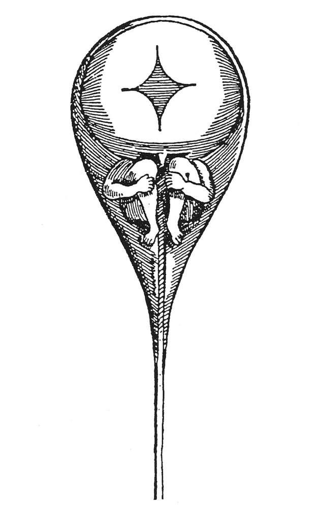 基因潘多拉魔盒,神秘的潘多拉魔盒