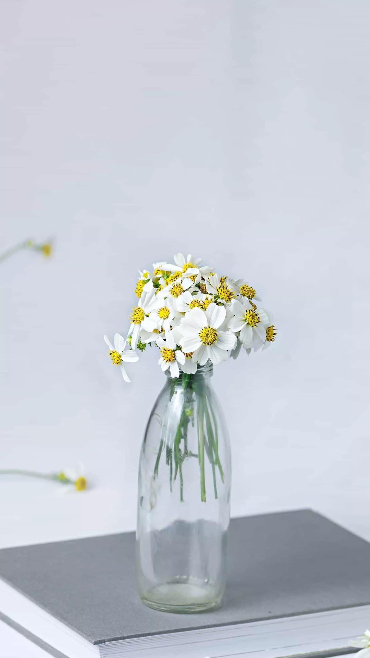 如何快速健康减肥20斤,快速健康减肥一日三餐