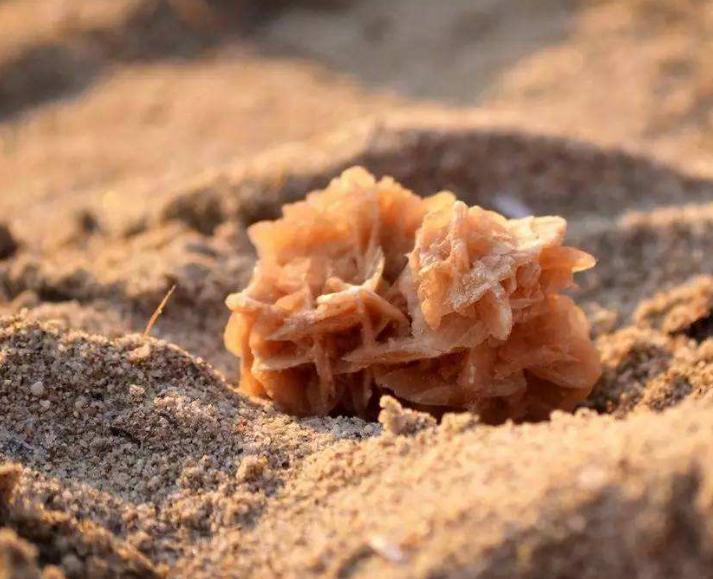 在沙漠中见到石头一定要捡起来,为何在沙漠看到石头必须捡起来