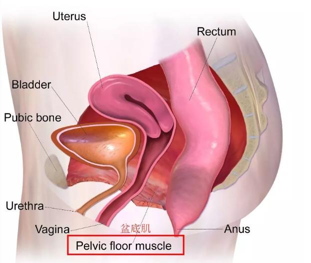 杨幂产后恢复过程,杨幂生完孩子后的变化