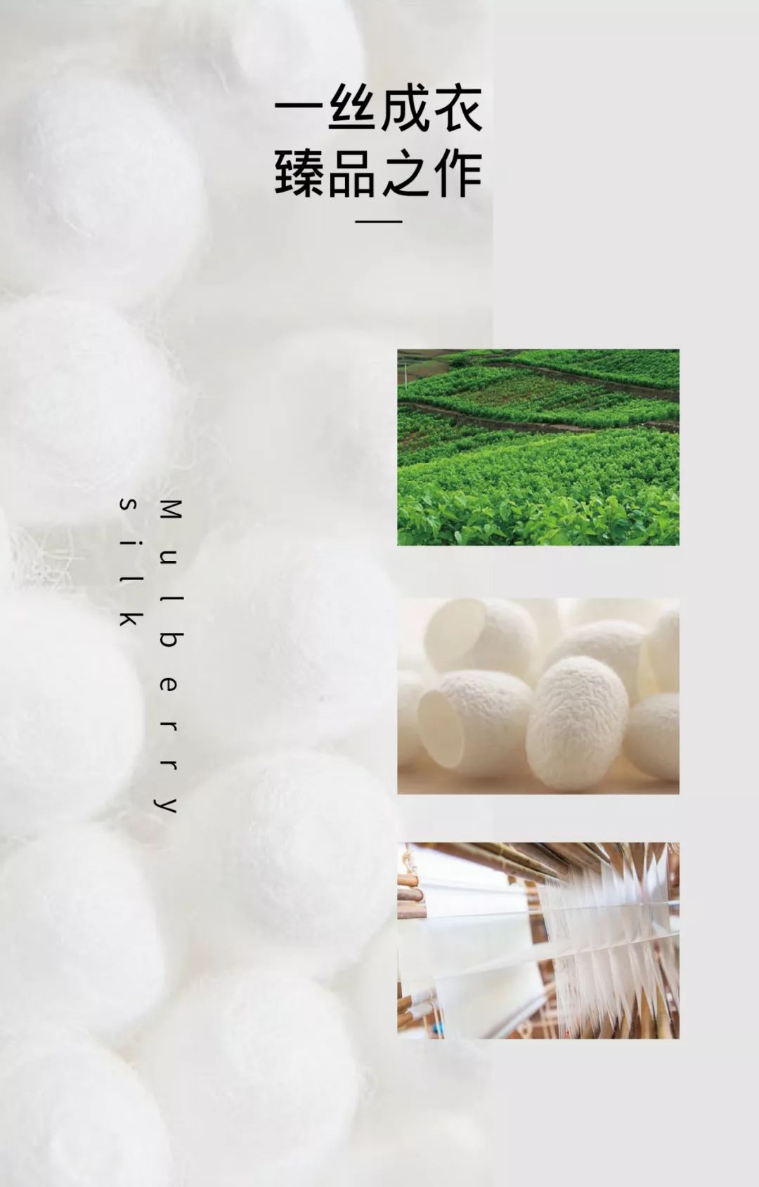 真丝▏有些面料，又贵又难伺候，但穿着舒服啊