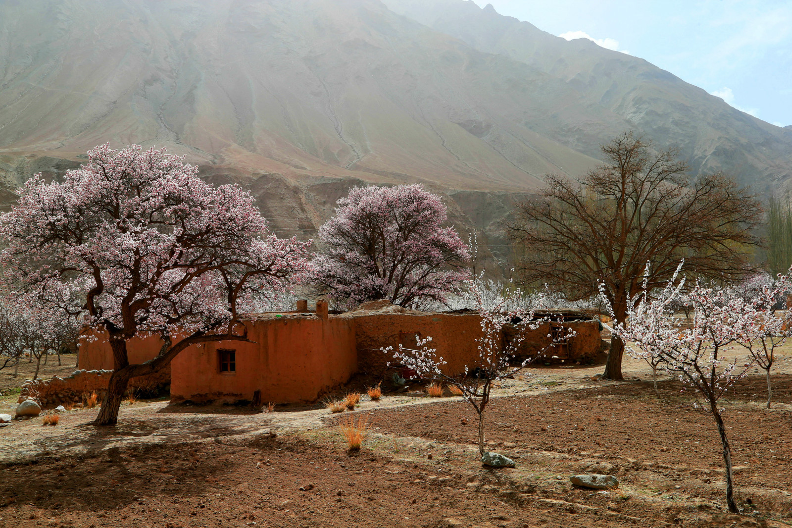 中国最牛的县城塔什库,中国最牛的县塔什库尔干