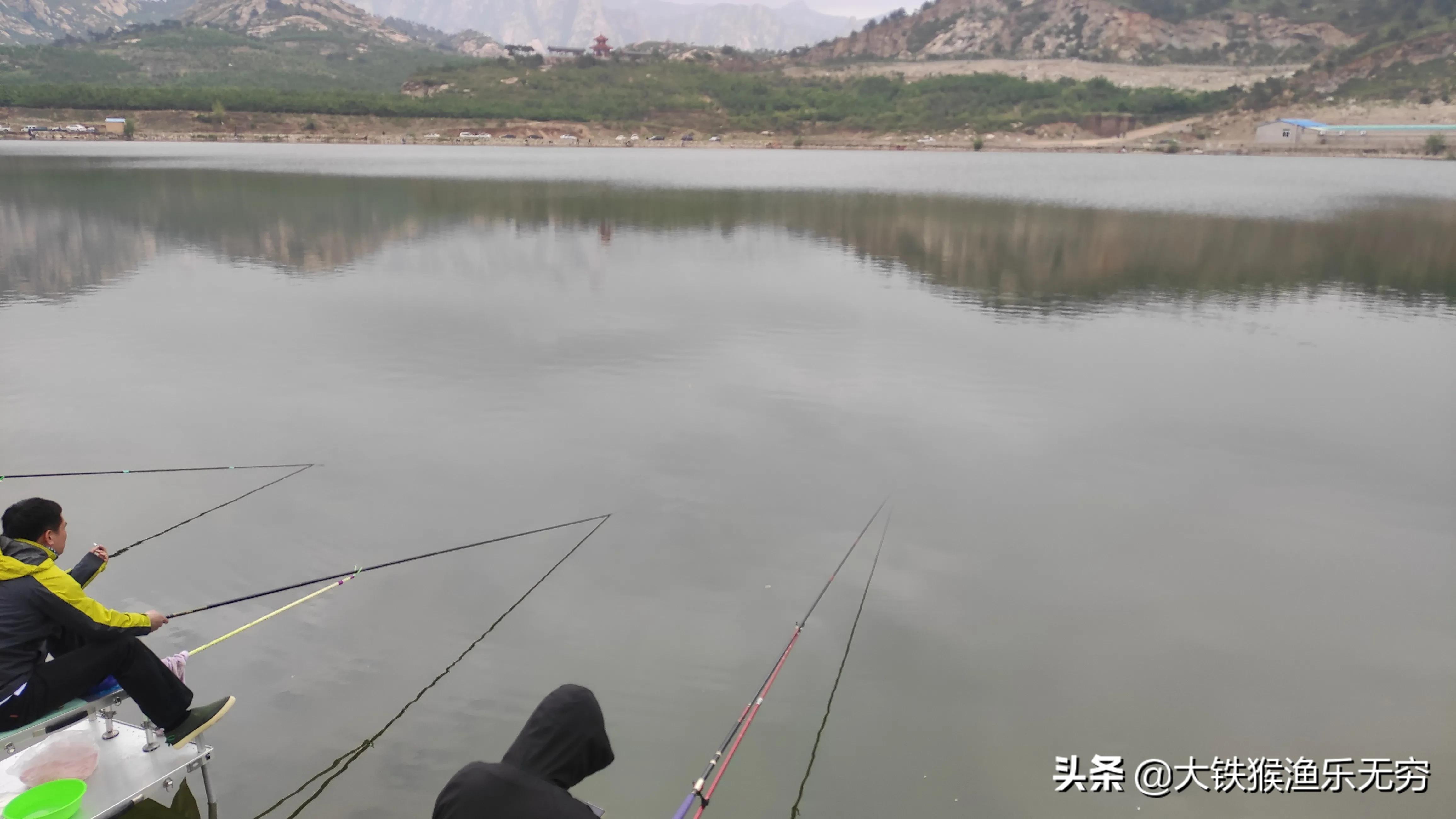 钓鲢鳙鱼最简单有效的办法,老钓友分享钓法