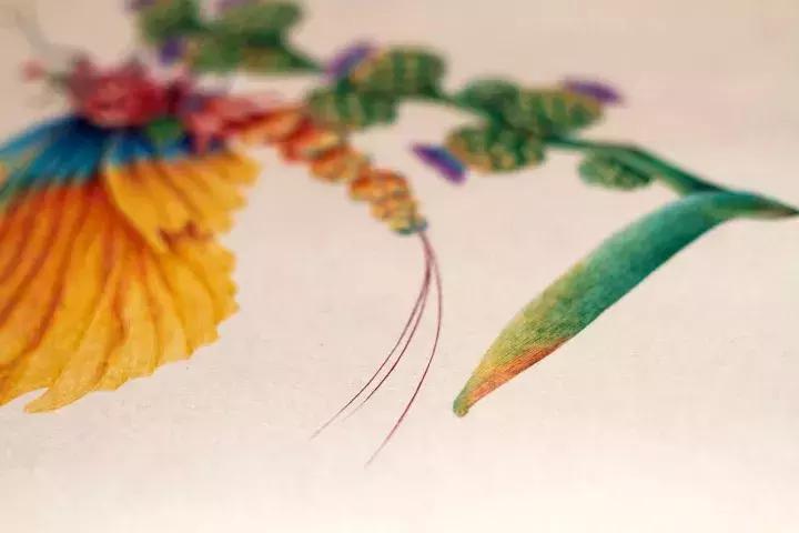 小央美钢笔画视频,极品五大钢笔画简直美爆