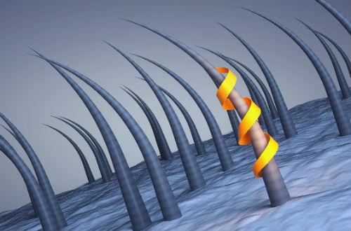 发质受损很严重用什么护发素,发质严重受损想烫发怎么办