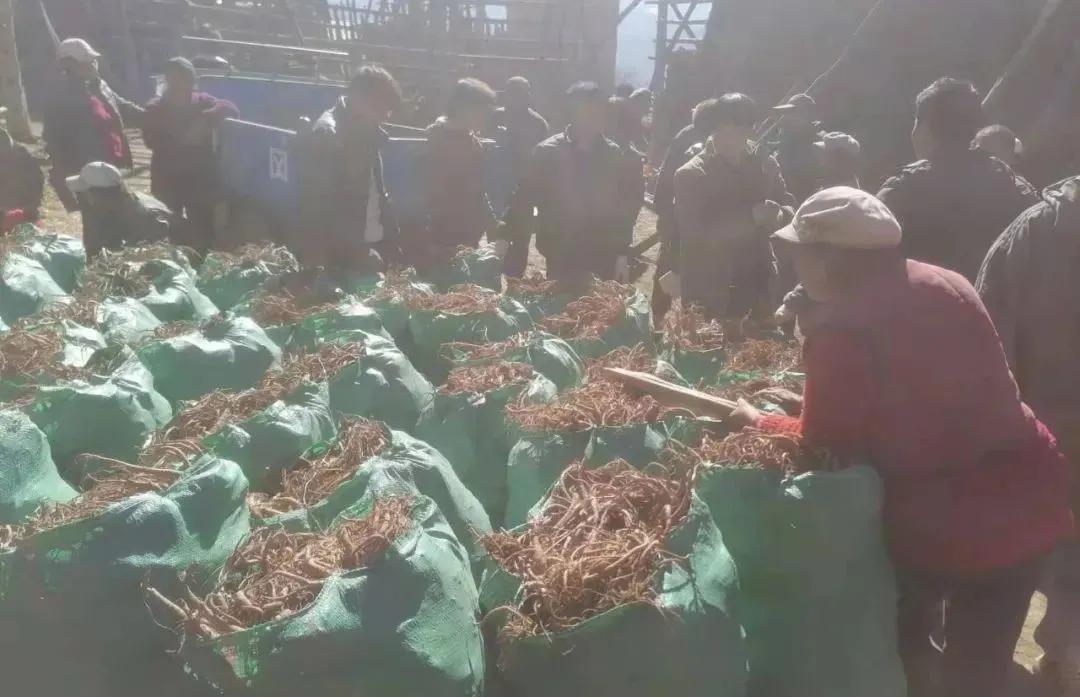 新闻晚高峰视频直播,新闻晚高峰播放时间