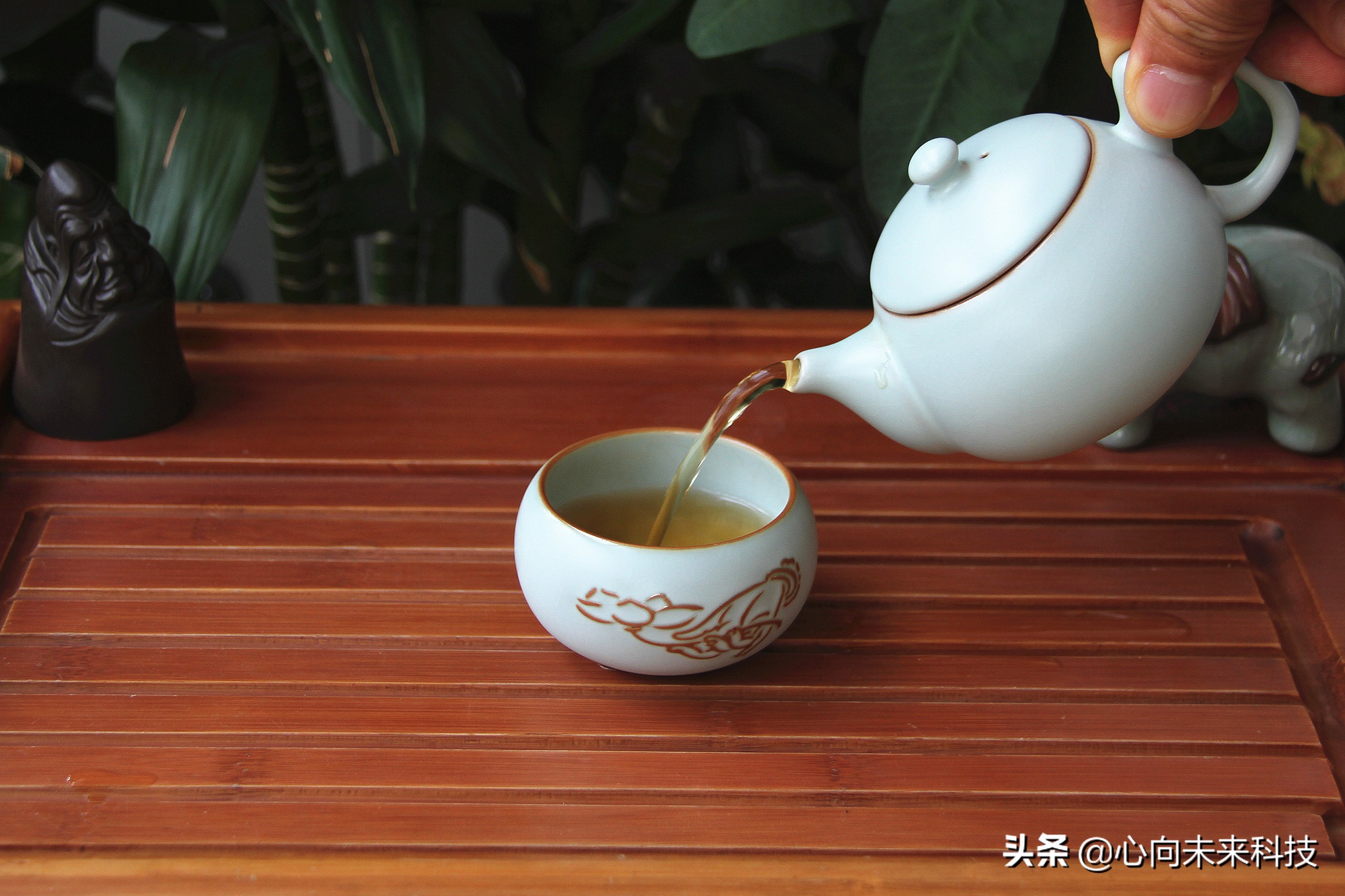 汝瓷新手入坑,汝瓷个人喝茶最实用的茶具