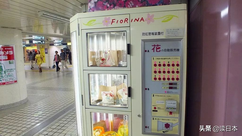 即使被全世界抛弃也要活下去,即使被全世界抛弃至少还有你英文