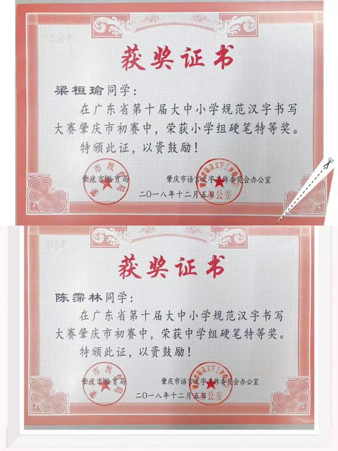 肇庆不限户籍的学校,肇庆不限户籍的中学