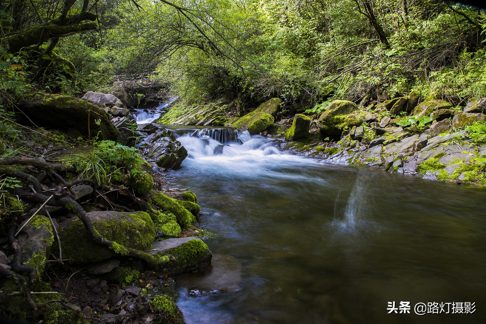 宁夏固原为什么凉爽,固原夏天适合出游