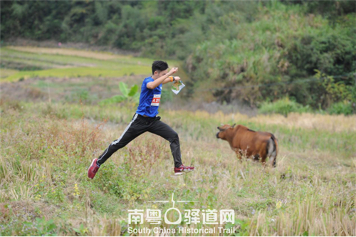 鍗楃菠鍙ら┛閬撳钩杩滃叓灏虹珯,鍗楃菠鍙ら┛閬撳畾鍚戝ぇ璧涘钩杩滃叓灏虹珯