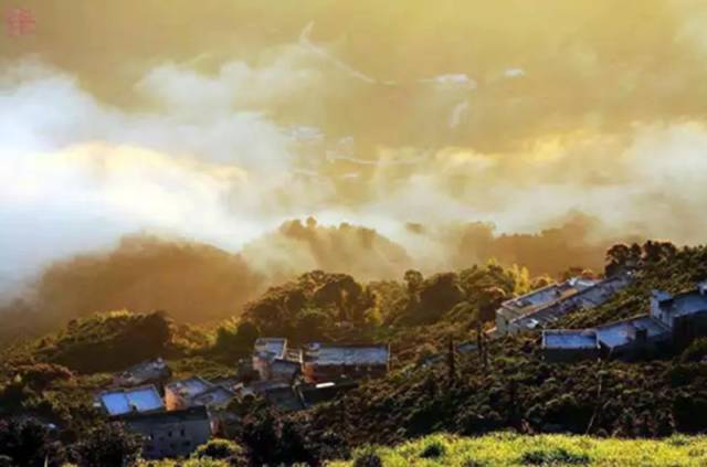 全国十大名茶旅游地,中国十大茶旅