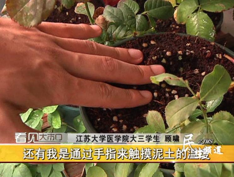 “别人家系列”！江大“宝藏男孩”，在宿舍里打造了一座“空中花园”