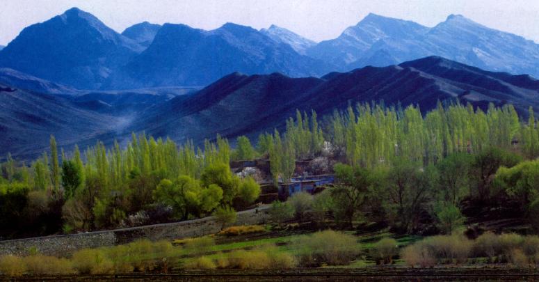 秘鲁神秘石球,巨型石球最新消息