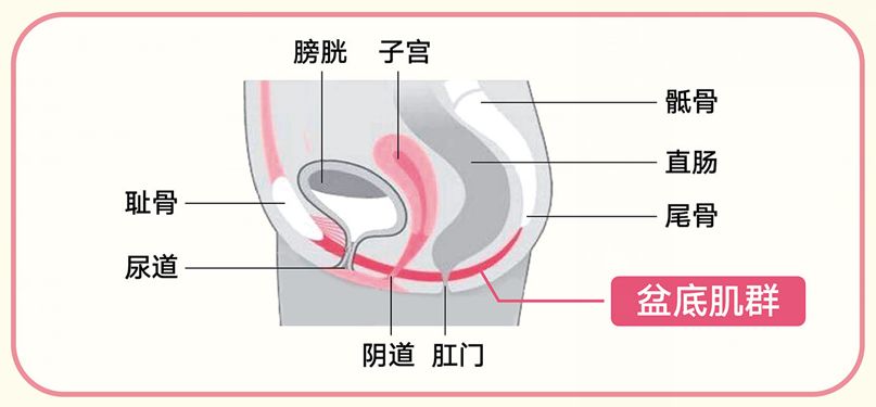广州越秀健康培训好做吗,越秀区免费教育培训
