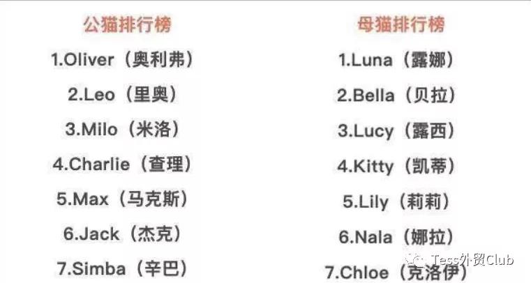 给自己取个英文名取什么好呢,给自己取英文名高级