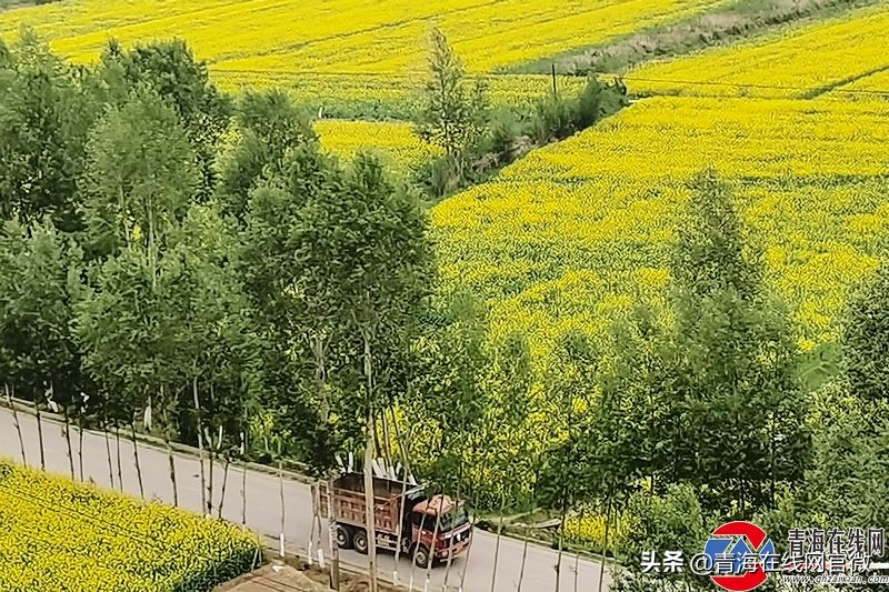 海东市乐都区瞿昙镇徐家台村,徐台村电商