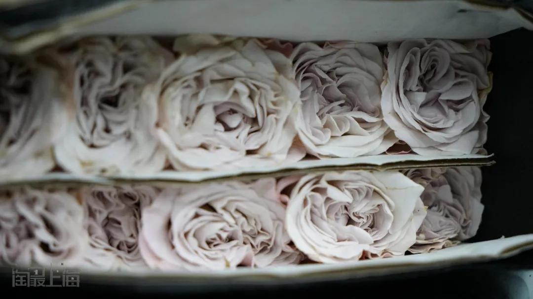 花卉市场晚上营业,今天的花卉市场