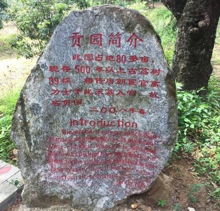 一骑红尘妃子笑说的是哪儿的荔枝,一骑红尘妃子笑的荔枝是哪里来的