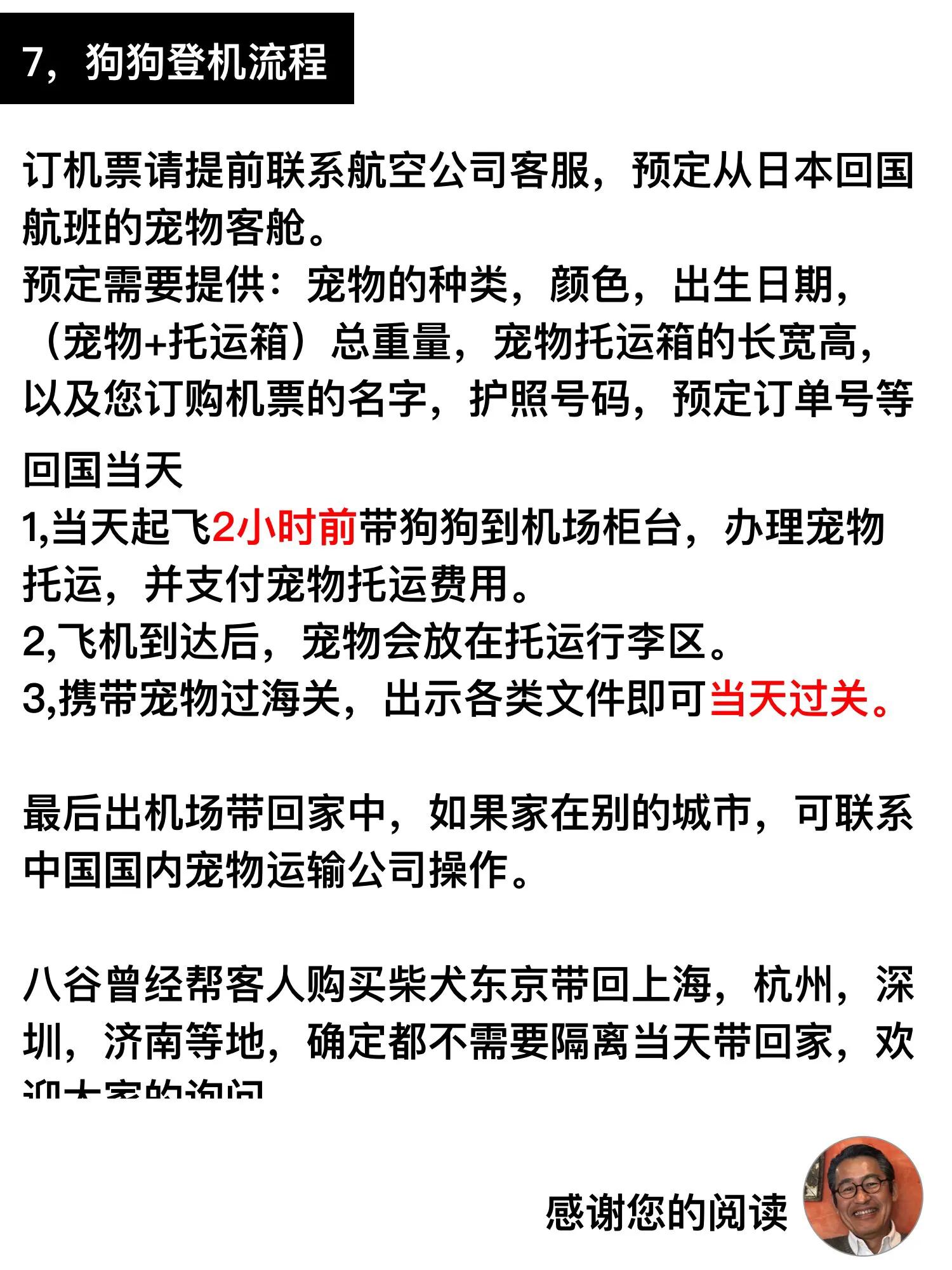 在日本买柴犬价格攻略！店长八谷监制