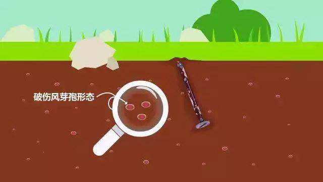 打破伤风针为什么能防止破伤风,破伤风没发作打破伤风针有用吗