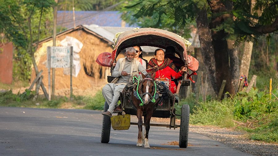 尼泊尔十堰,尼泊尔为什么这么穷
