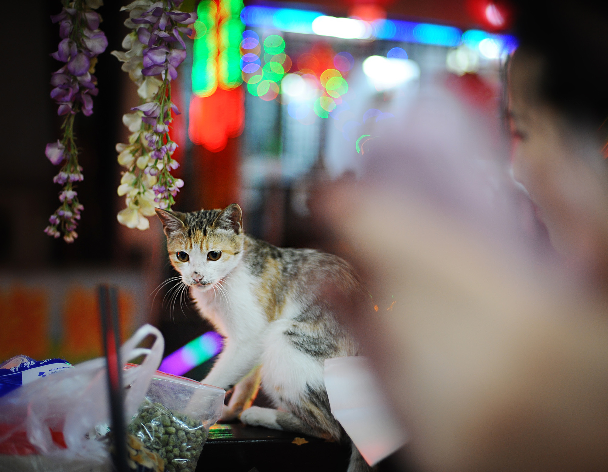 第14篇，尼康相机的标头-2021年元旦快乐