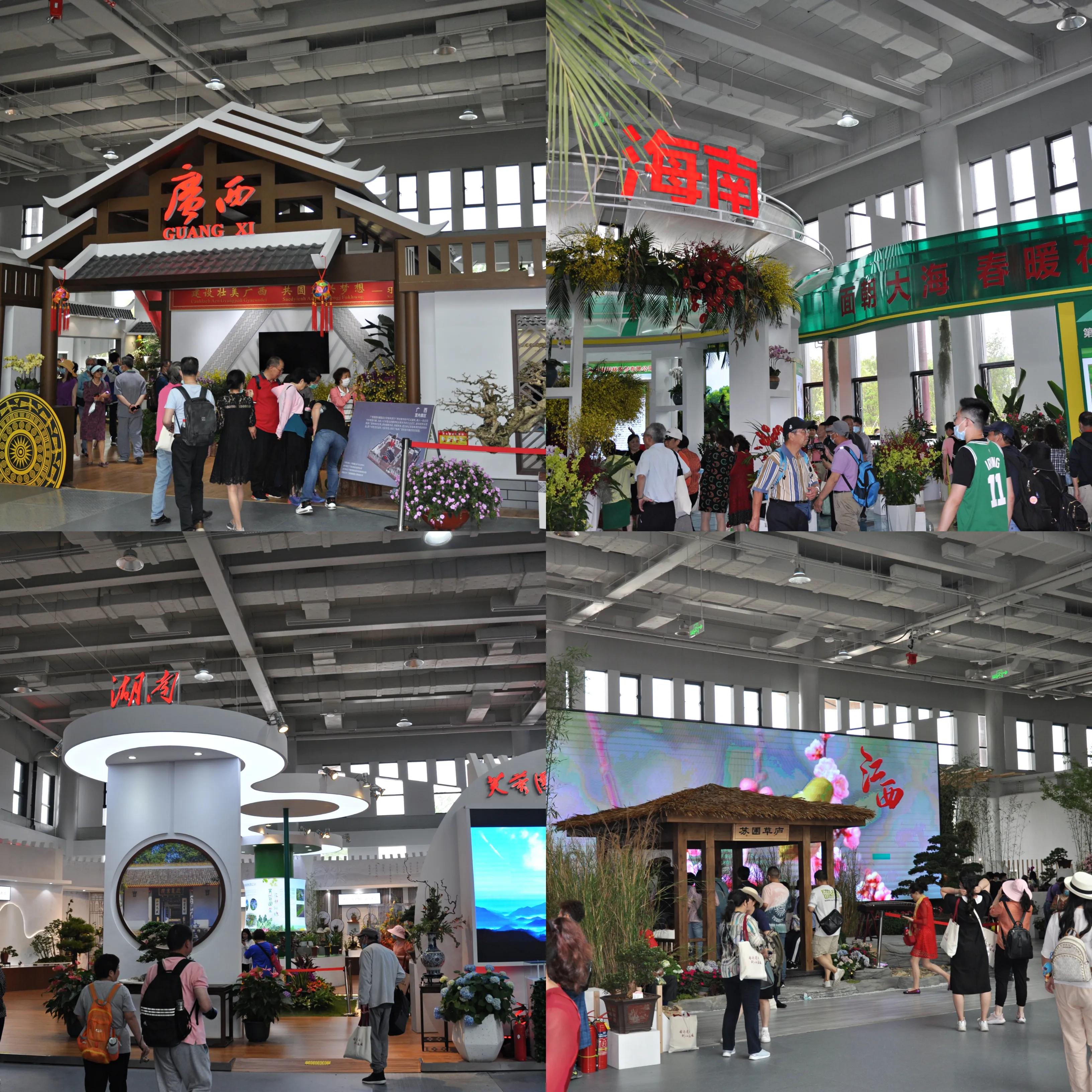 漳州东南花都花博会巡游,花博会花神巡游打卡