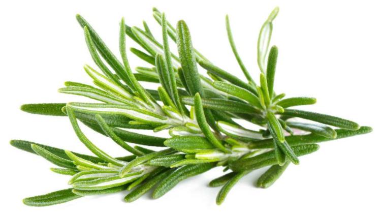 后背总是长痘怎么办？除了内调，还要除螨