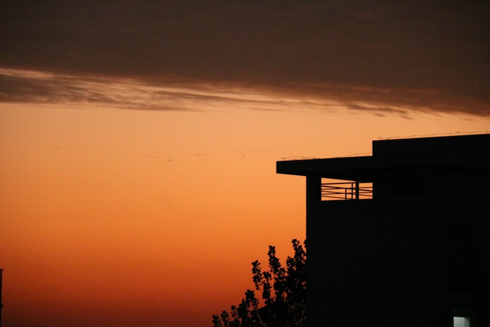 沐春简历,沐春个人资料