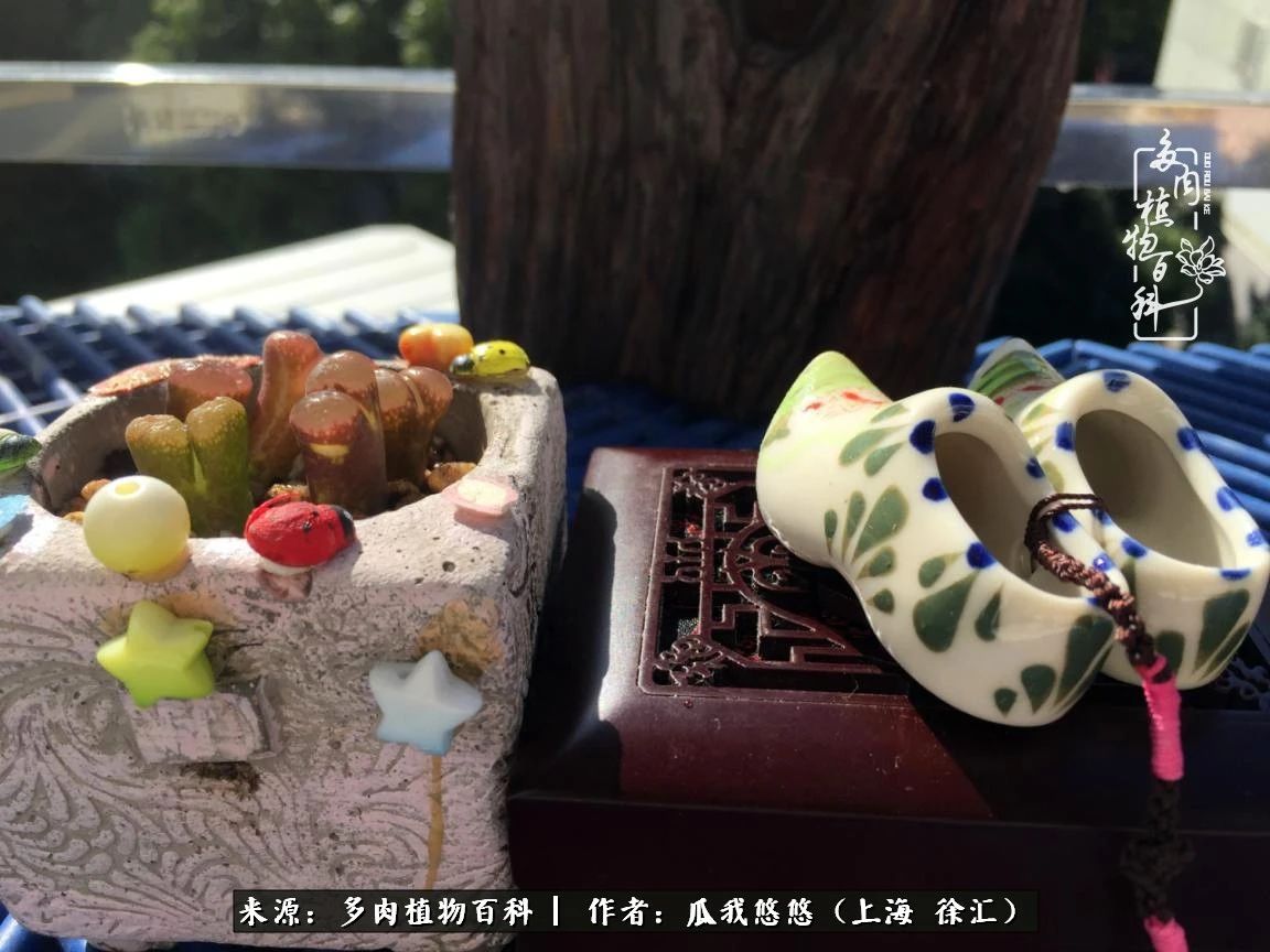 享受岁月,享受岁月静好歌曲原唱