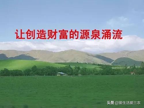 农村集市暴利的小生意,县城农村暴利小生意有哪些