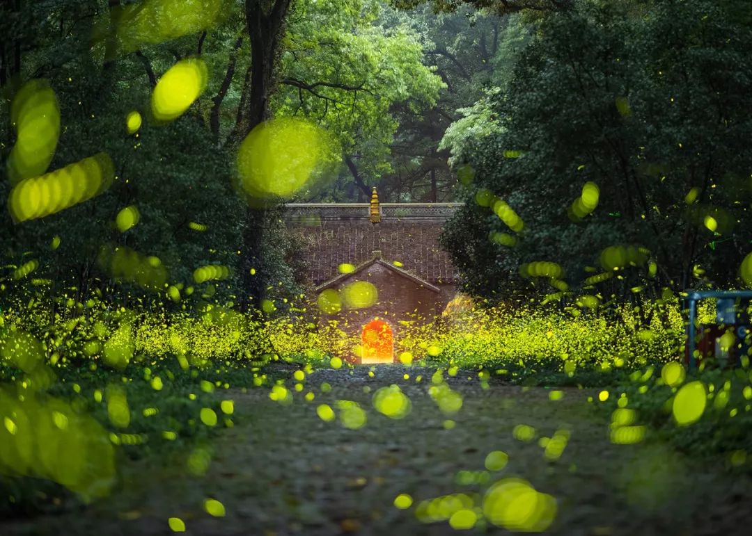 南京历史感沉重的古都,烟水南京