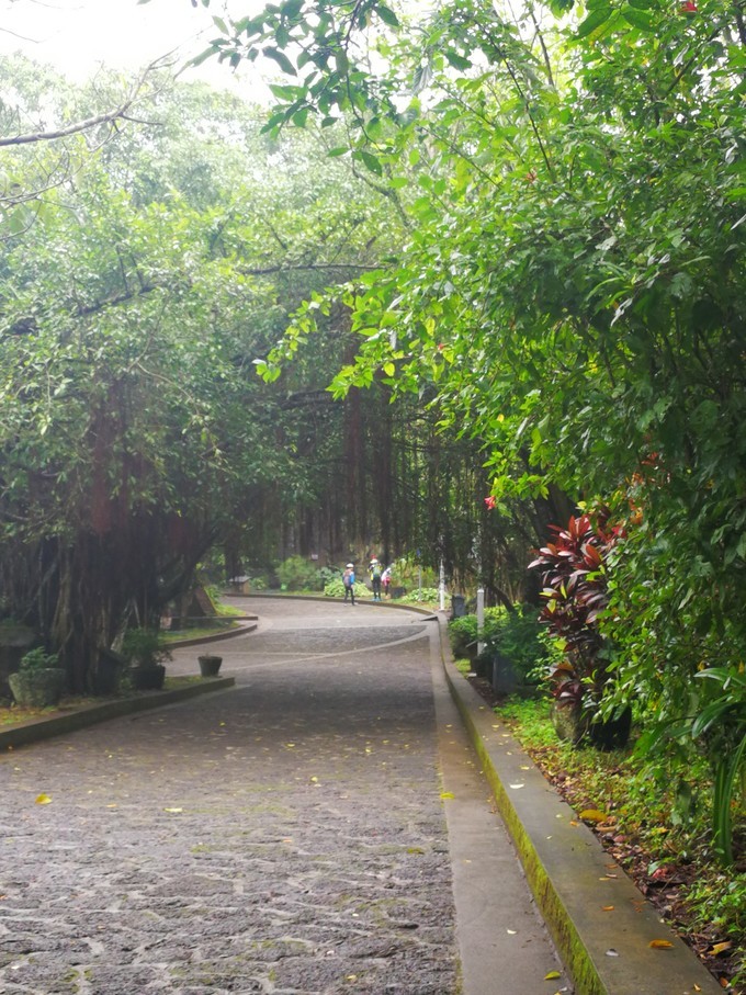 海口旅游美食全攻略,海口逛吃攻略